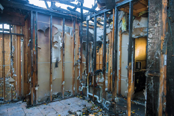 Professional Fire Damage Removal technician working in Gentry, AR